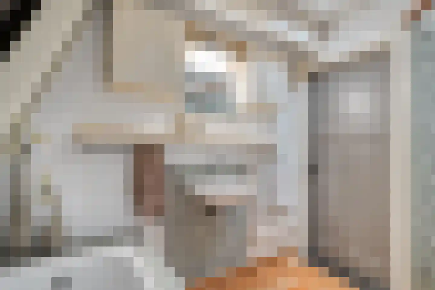 Julianastraat 8 Beilen thumbnail 39