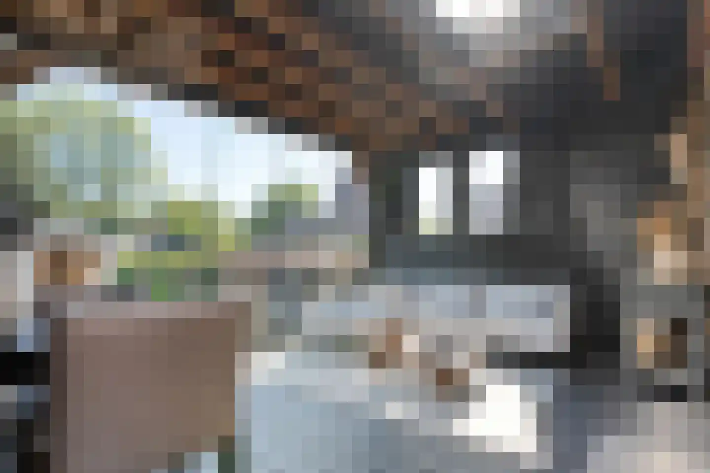Julianastraat 8 Beilen thumbnail 41