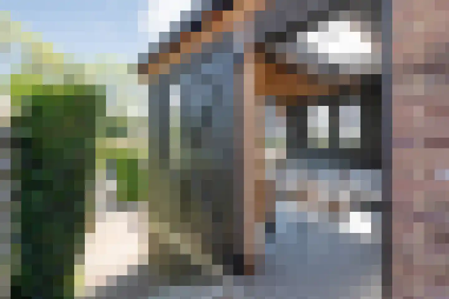 Julianastraat 8 Beilen thumbnail 42