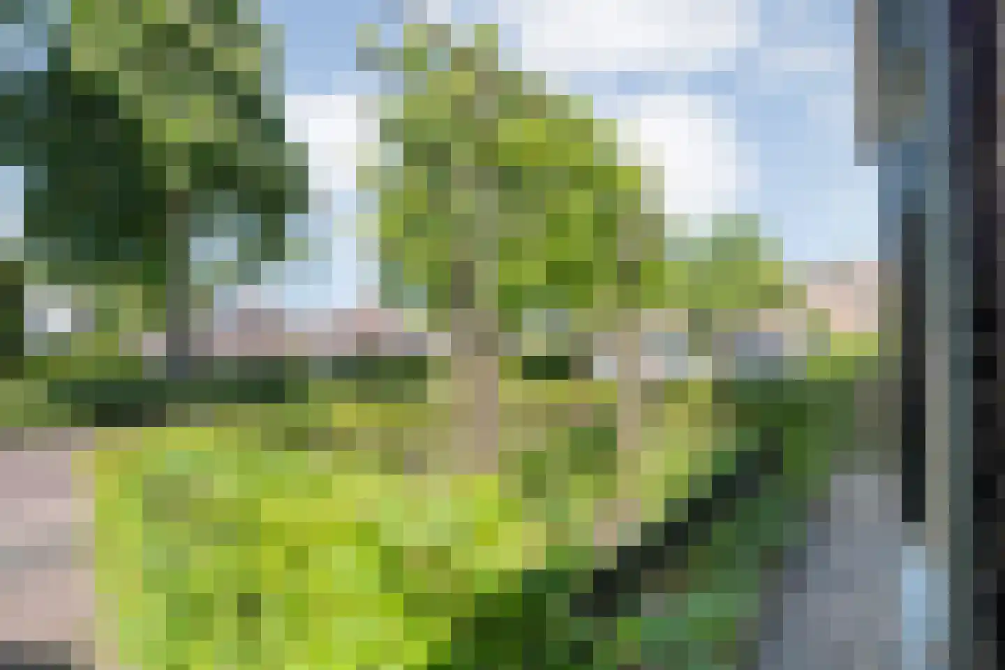 Julianastraat 8 Beilen thumbnail 6