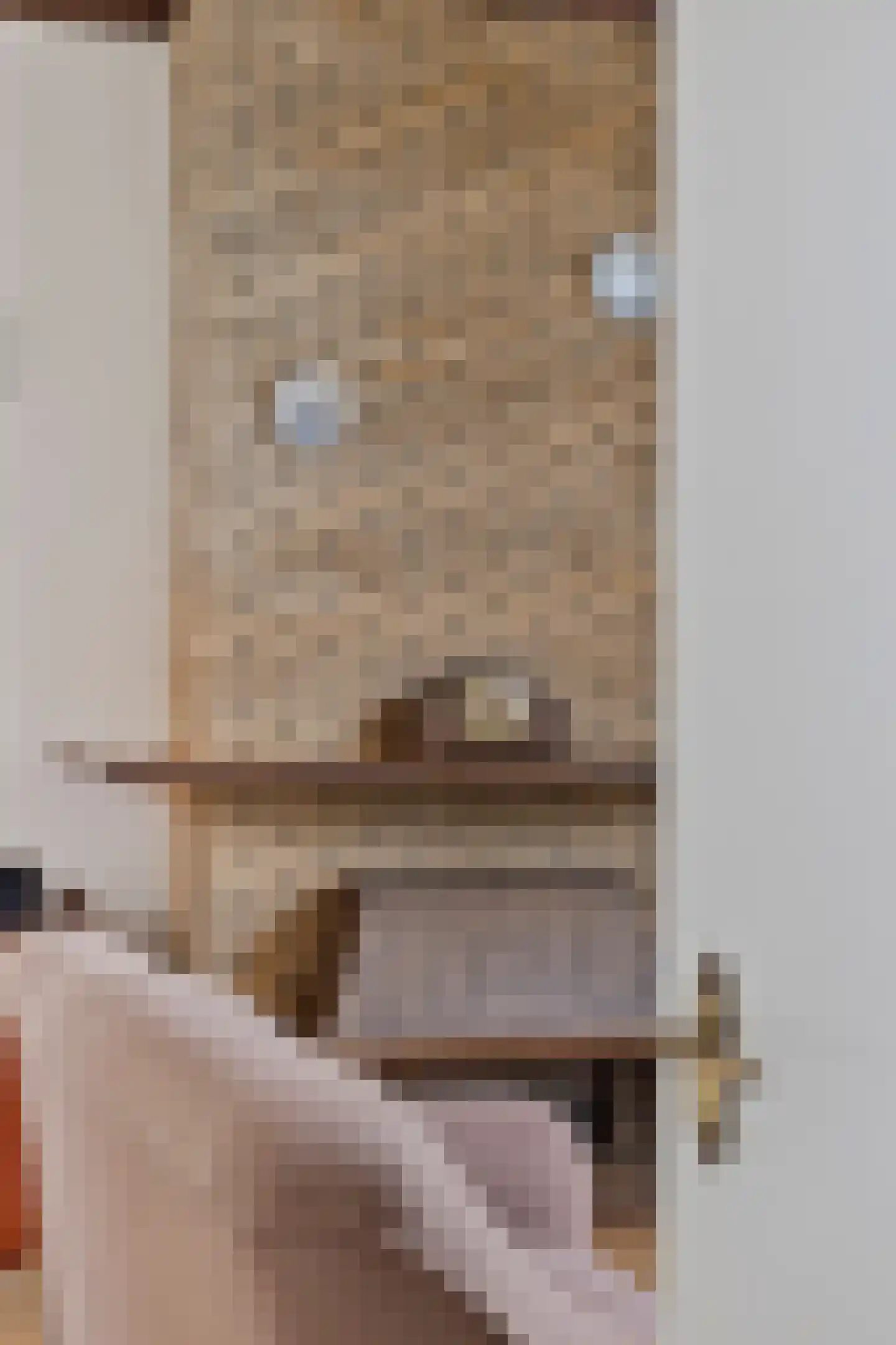 Julianastraat 8 Borne thumbnail 11