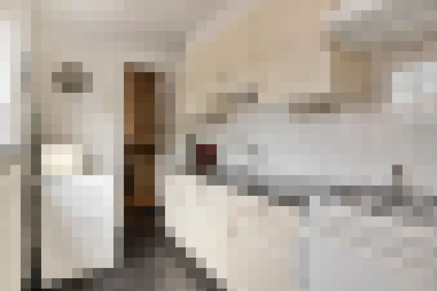 Julianastraat 8 Borne thumbnail 12