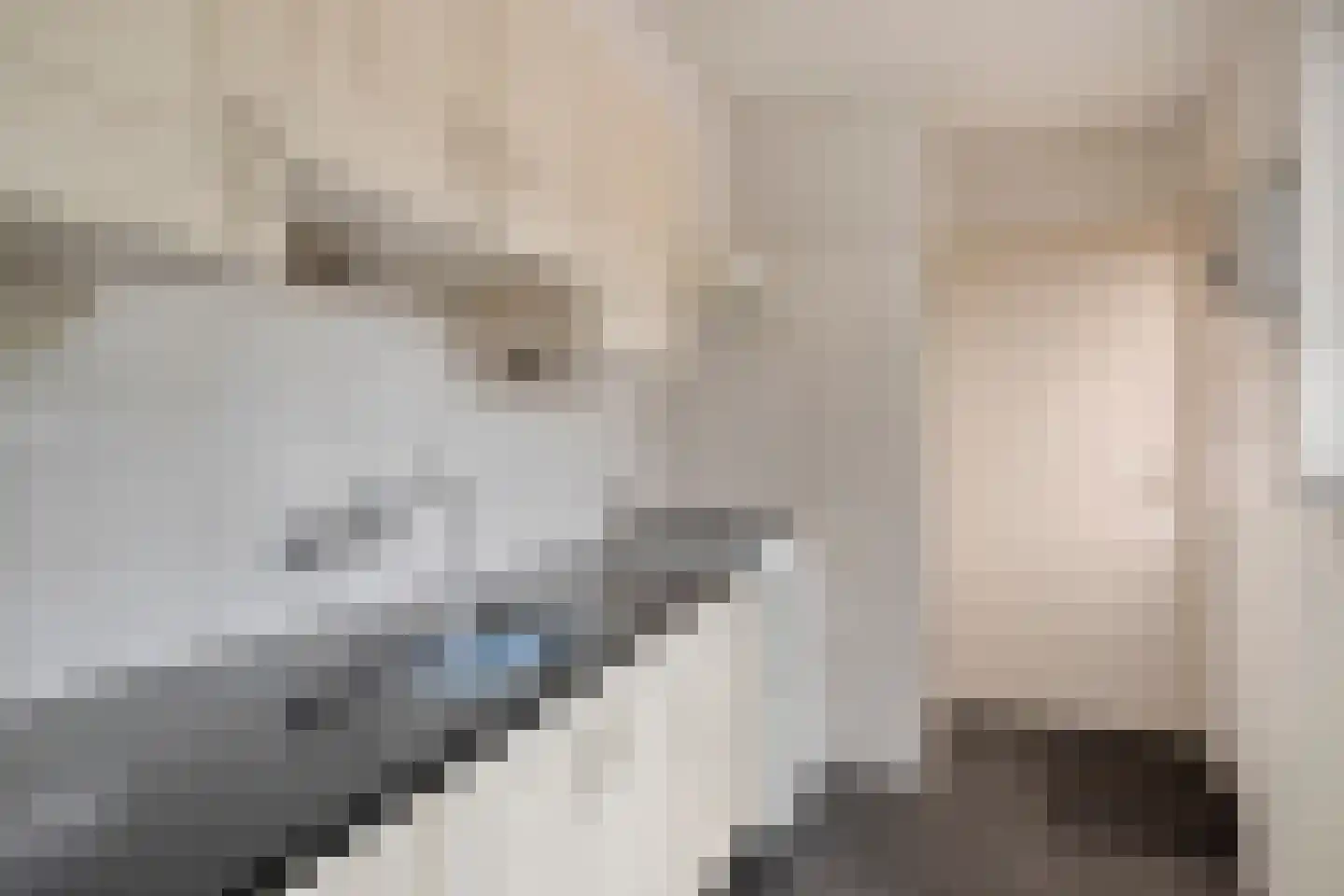 Julianastraat 8 Borne thumbnail 13