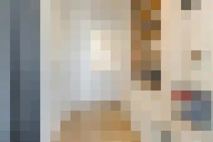 Julianastraat 8 Boxtel thumbnail 13