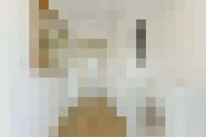 Julianastraat 8 Boxtel thumbnail 17