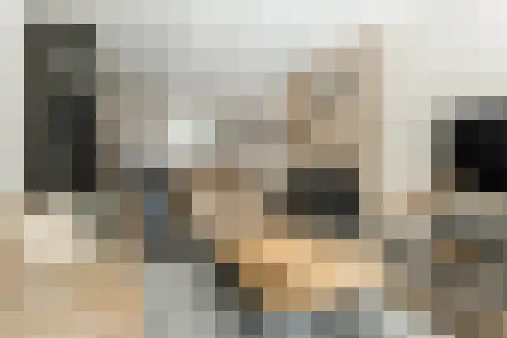Julianastraat 8 Boxtel thumbnail 9