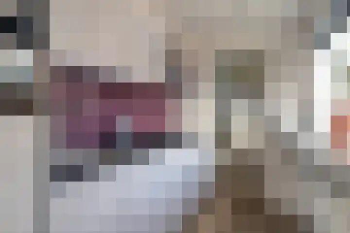 Julianastraat 8 Capelle aan den IJssel thumbnail 10