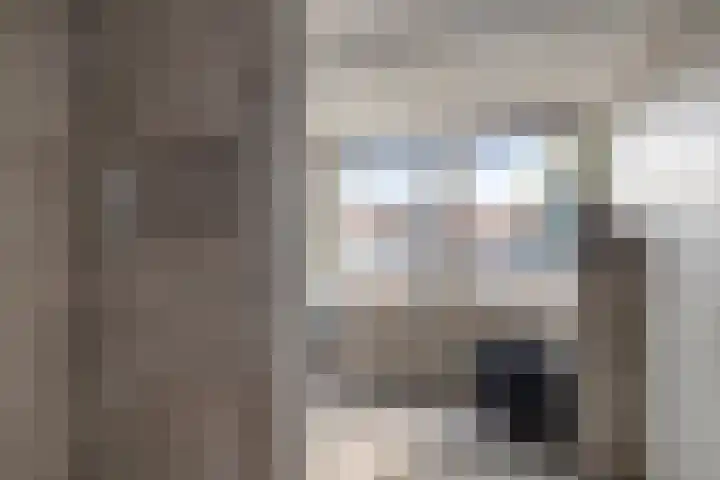Julianastraat 8 Capelle aan den IJssel thumbnail 13