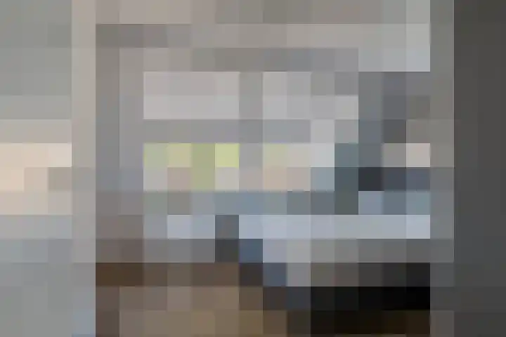 Julianastraat 8 Capelle aan den IJssel thumbnail 15