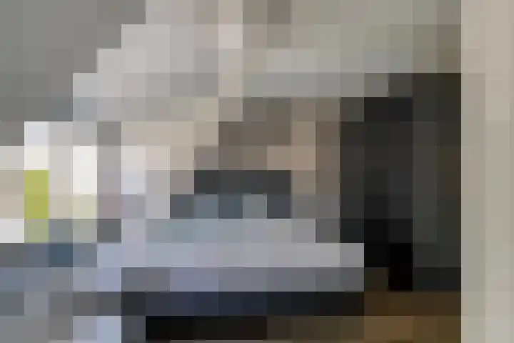 Julianastraat 8 Capelle aan den IJssel thumbnail 16