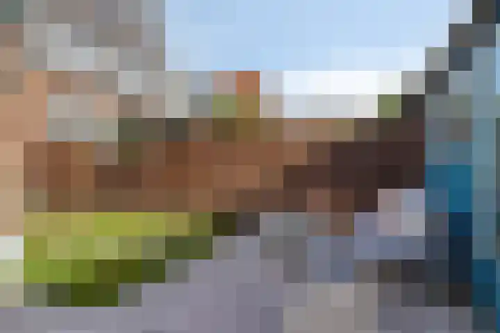 Julianastraat 8 Capelle aan den IJssel thumbnail 19