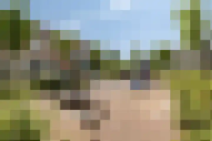 Julianastraat 8 Capelle aan den IJssel thumbnail 22