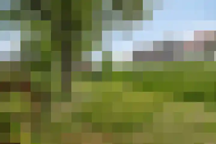 Julianastraat 8 Capelle aan den IJssel thumbnail 23
