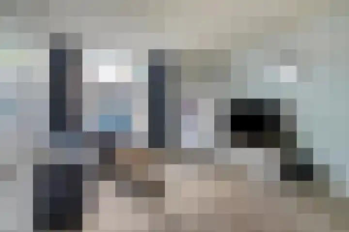 Julianastraat 8 Capelle aan den IJssel thumbnail 6