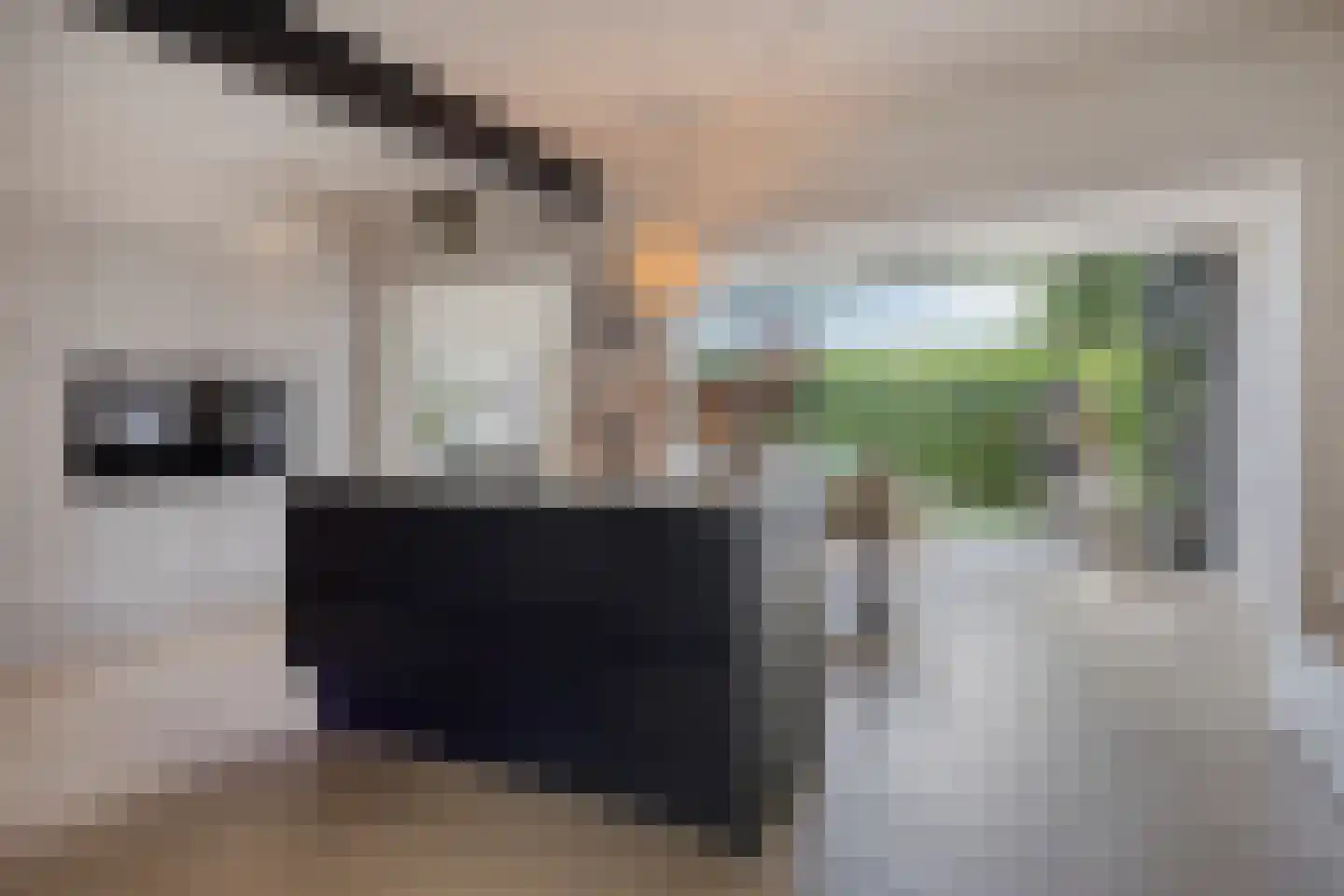 Julianastraat 8 Gronsveld thumbnail 13