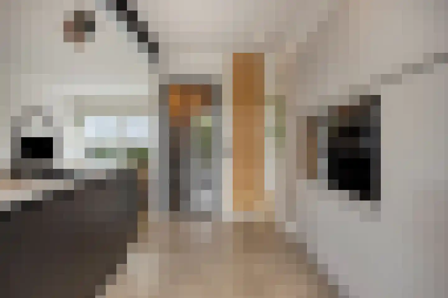 Julianastraat 8 Gronsveld thumbnail 19