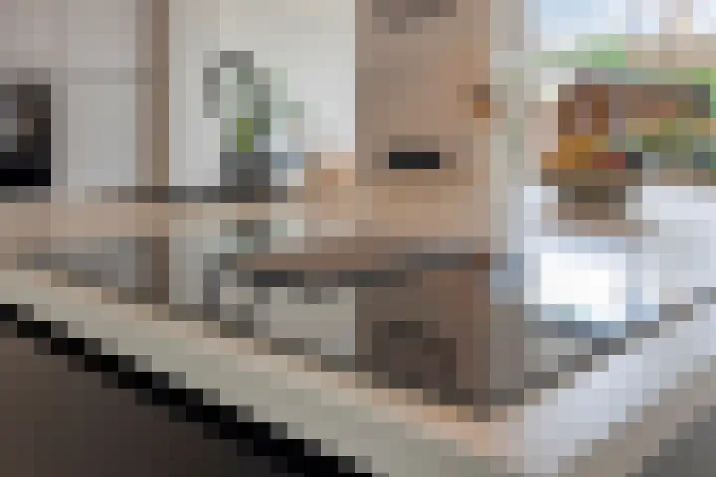 Julianastraat 8 Gronsveld thumbnail 22