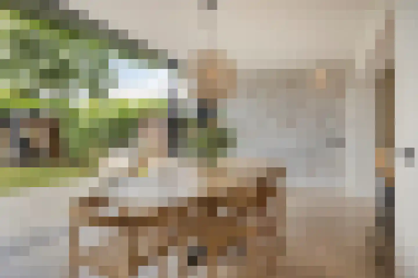 Julianastraat 8 Gronsveld thumbnail 26
