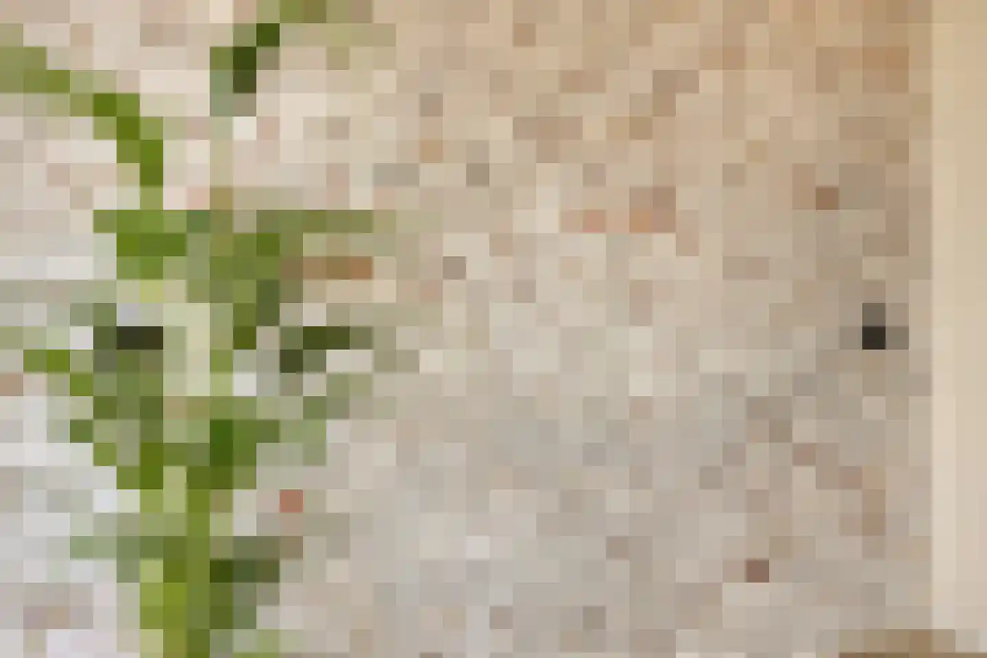 Julianastraat 8 Gronsveld thumbnail 33