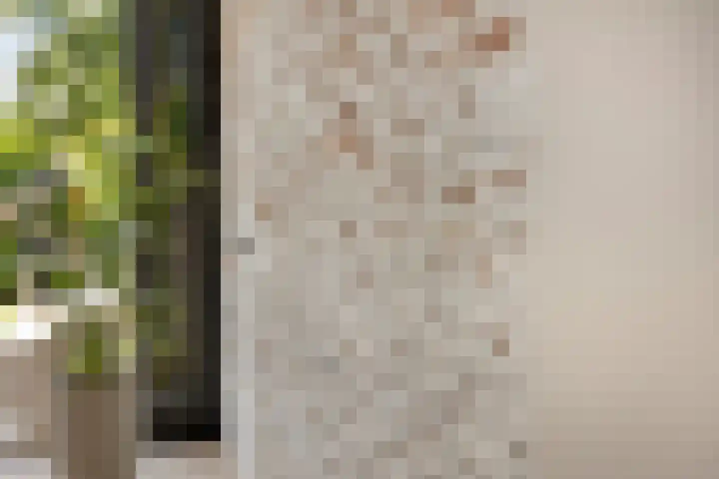Julianastraat 8 Gronsveld thumbnail 35