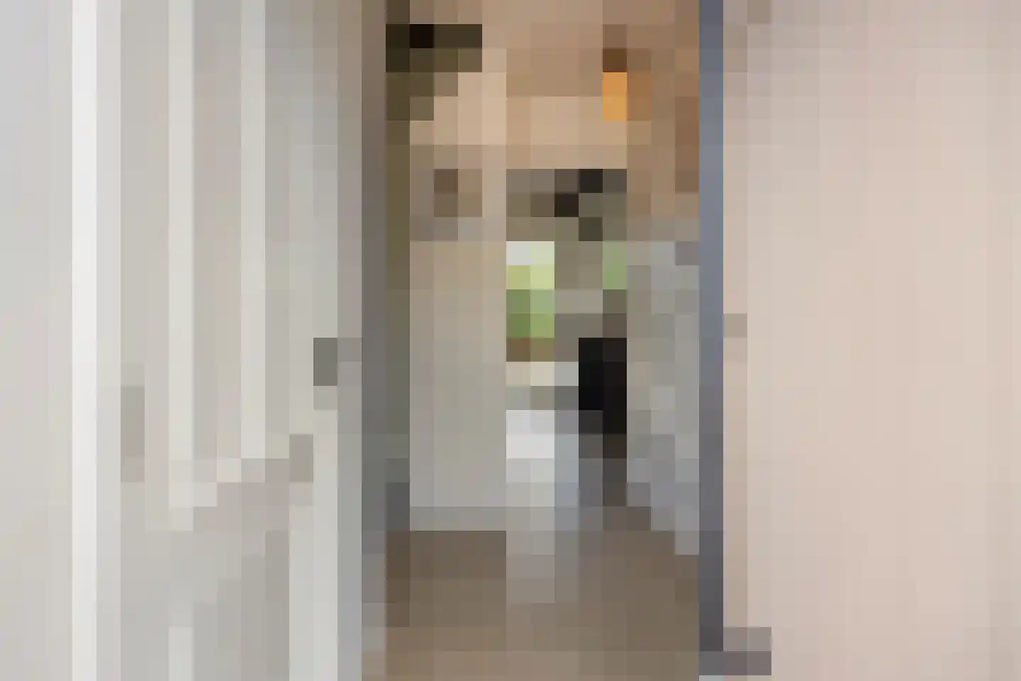 Julianastraat 8 Gronsveld thumbnail 4