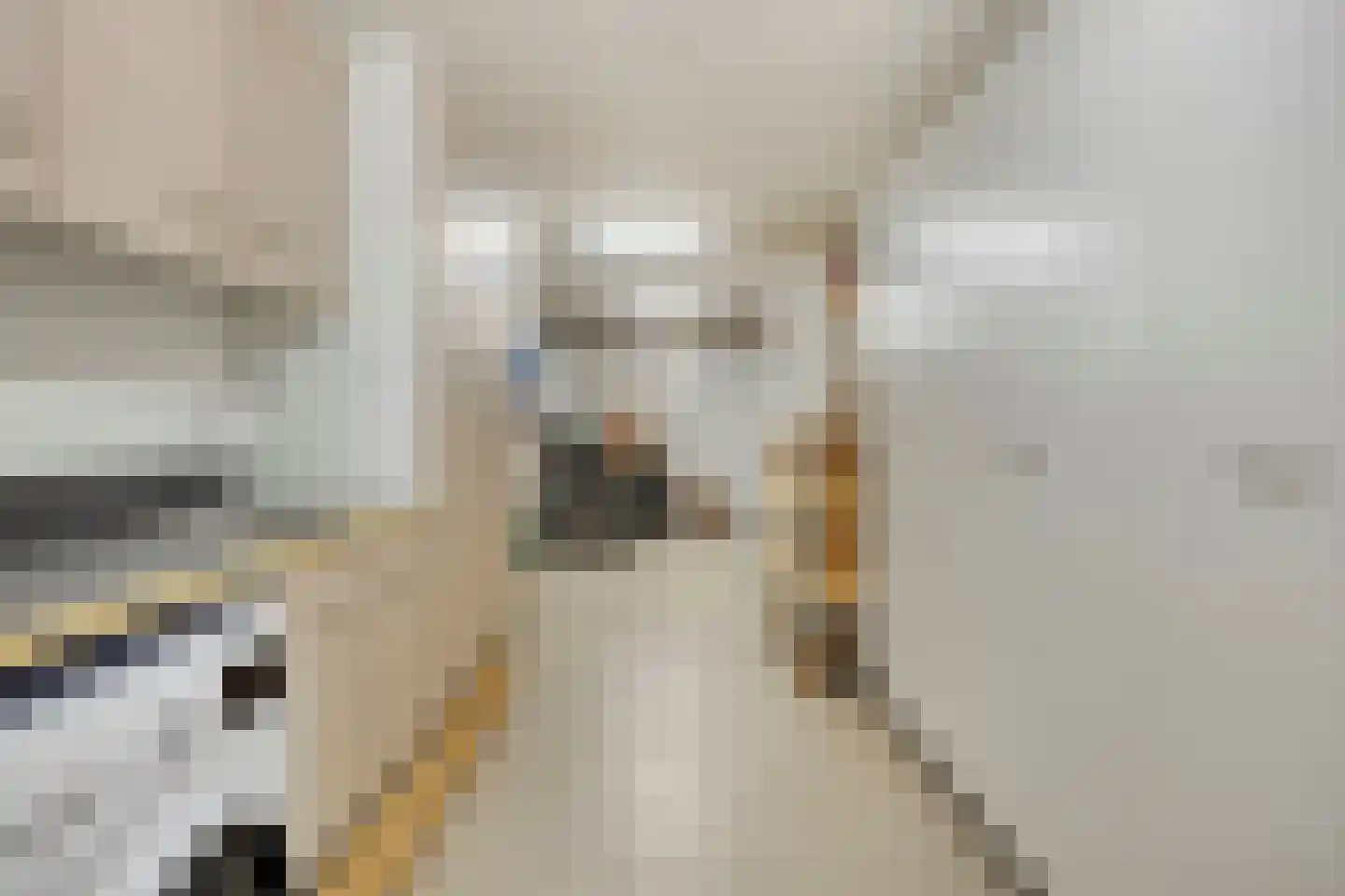 Julianastraat 8 Gronsveld thumbnail 57