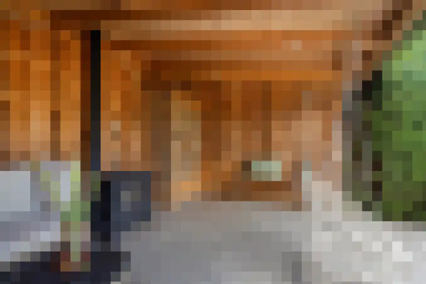 Julianastraat 8 Gronsveld thumbnail 64