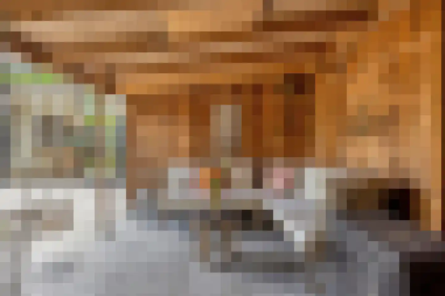 Julianastraat 8 Gronsveld thumbnail 65