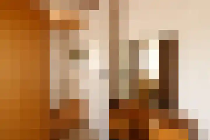 Julianastraat 8 Heel thumbnail 12