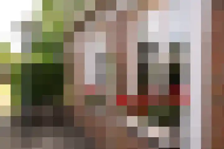 Julianastraat 8 Heel thumbnail 17