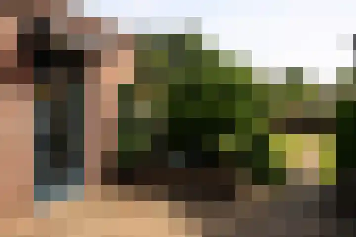 Julianastraat 8 Heel thumbnail 18