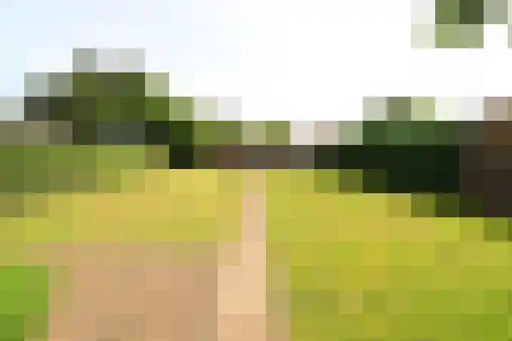 Julianastraat 8 Heel thumbnail 19