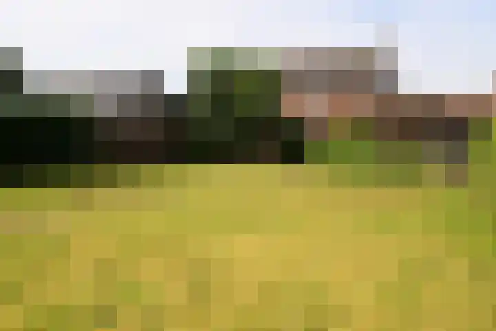Julianastraat 8 Heel thumbnail 21