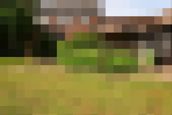 Julianastraat 8 Heel thumbnail 22