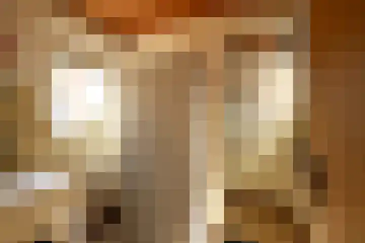 Julianastraat 8 Heel thumbnail 8