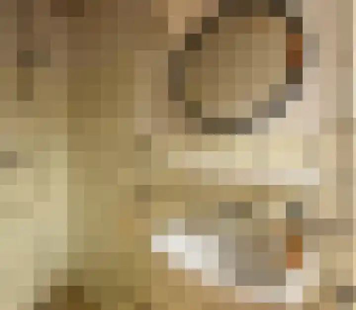 Julianastraat 8 Heel thumbnail 9