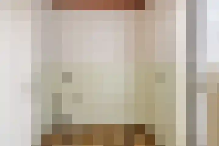 Julianastraat 8 Heeswijk-Dinther thumbnail 12