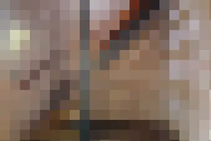 Julianastraat 8 Heeswijk-Dinther thumbnail 13