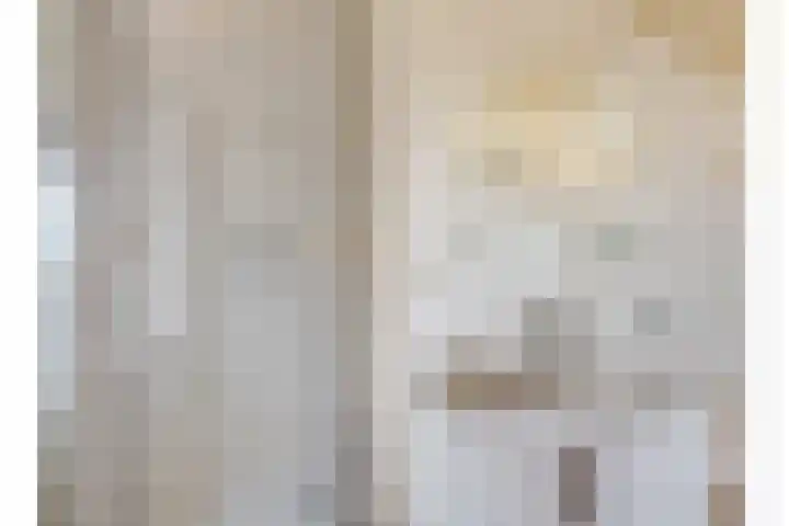 Julianastraat 8 Heeswijk-Dinther thumbnail 22