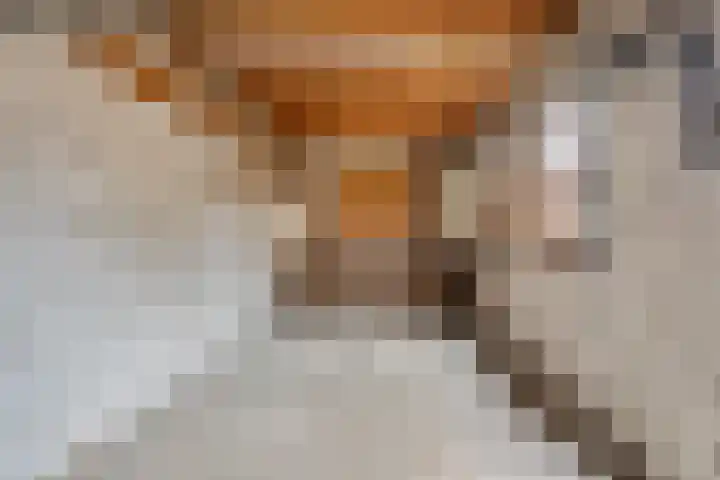 Julianastraat 8 Heeswijk-Dinther thumbnail 25