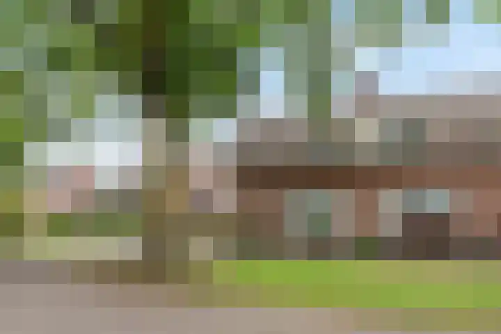 Julianastraat 8 Heeswijk-Dinther thumbnail 26