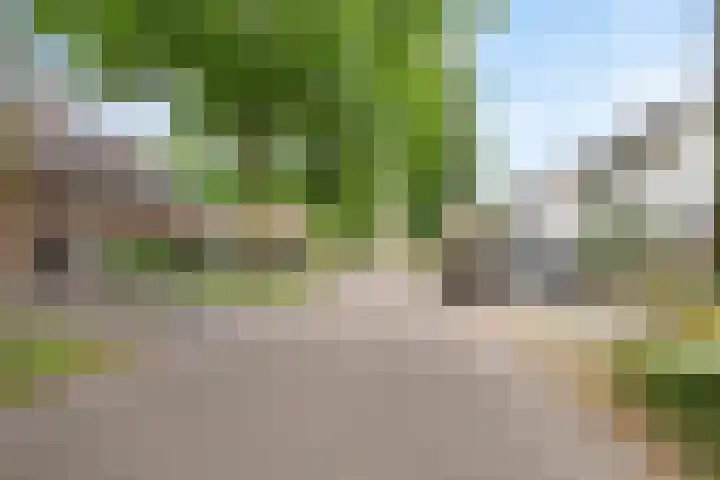 Julianastraat 8 Heeswijk-Dinther thumbnail 27