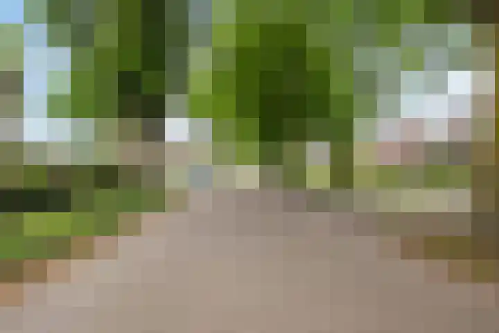 Julianastraat 8 Heeswijk-Dinther thumbnail 28
