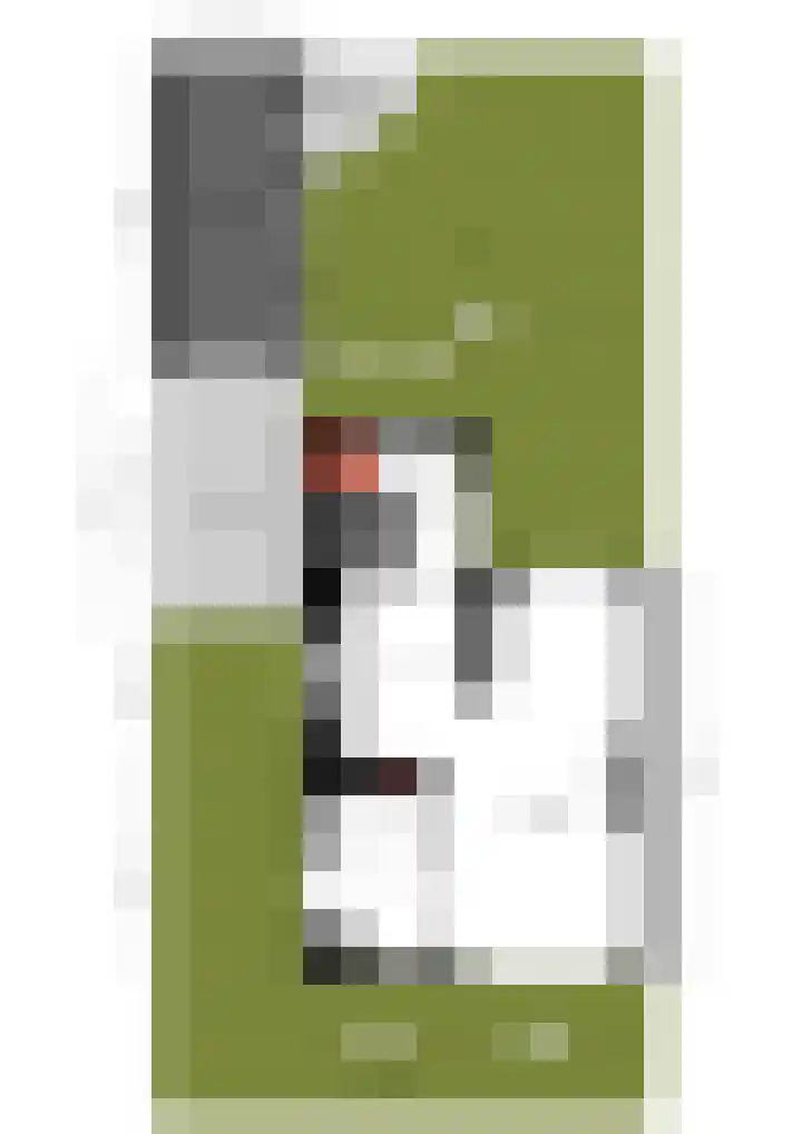 Julianastraat 8 Heeswijk-Dinther thumbnail 32