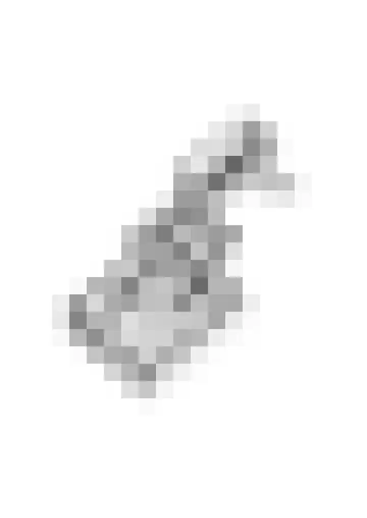 Julianastraat 8 Heeswijk-Dinther thumbnail 33