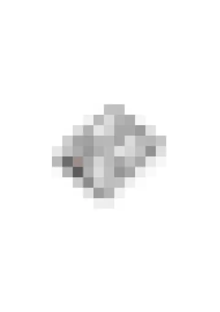 Julianastraat 8 Heeswijk-Dinther thumbnail 34