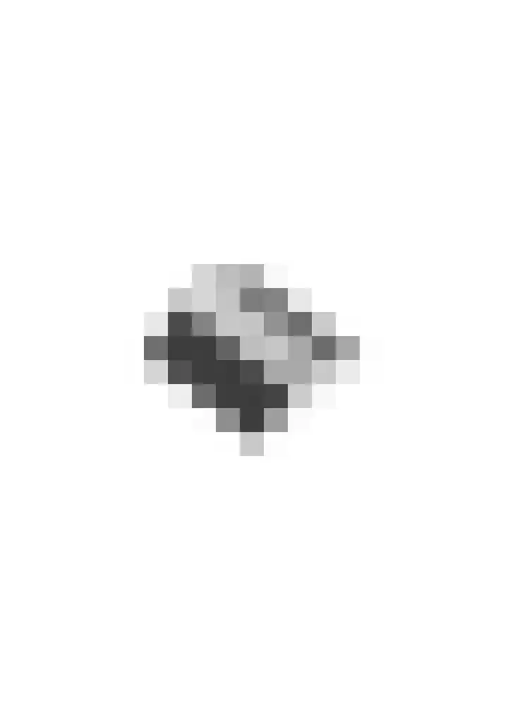 Julianastraat 8 Heeswijk-Dinther thumbnail 35