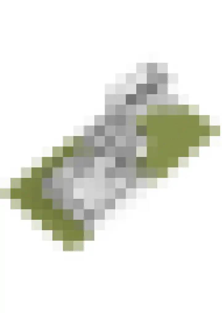Julianastraat 8 Heeswijk-Dinther thumbnail 36
