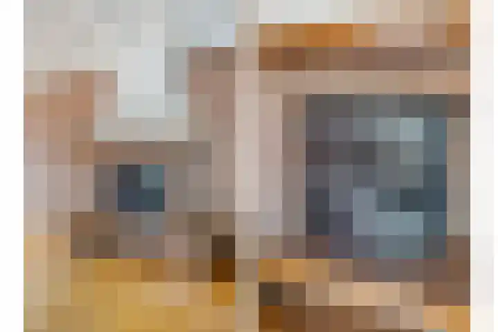 Julianastraat 8 Heeswijk-Dinther thumbnail 4