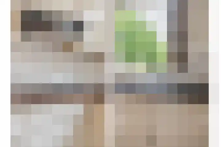 Julianastraat 8 Heeswijk-Dinther thumbnail 9